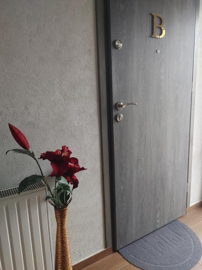 Apartamenty U Zofii Iława Kültér fotó